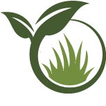 Key Pine Tree Planting