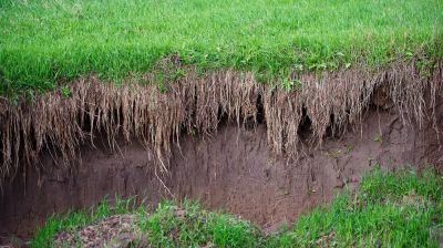 Prevent Soil Erosion!